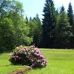 Schaechtelschleif Waldmünchen