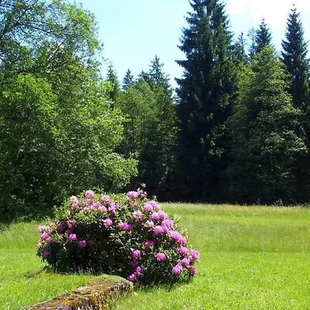 Schaechtelschleif Waldmünchen